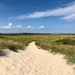 Sandbank